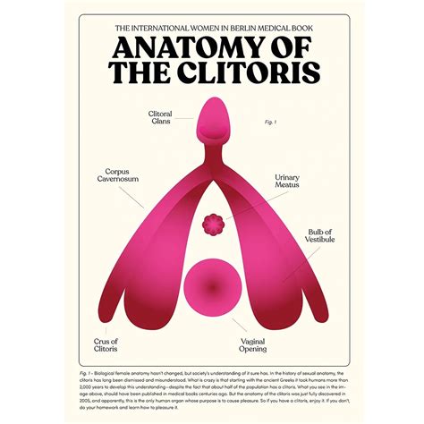 big klitoris|Clitoris